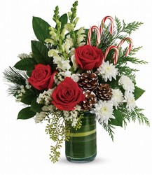 Teleflora's Festive Pines Bouquet from Martha Mae's Floral & Gifts in McDonough, GA